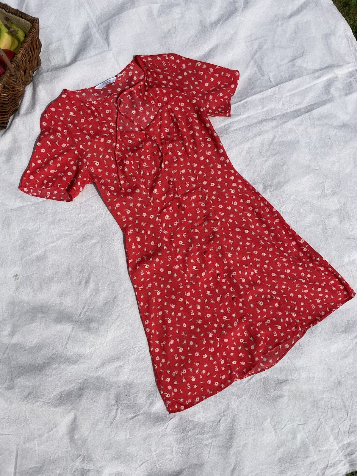 Size 6 Red Ditsy Floral Button Down Tea Dress & Other Stories