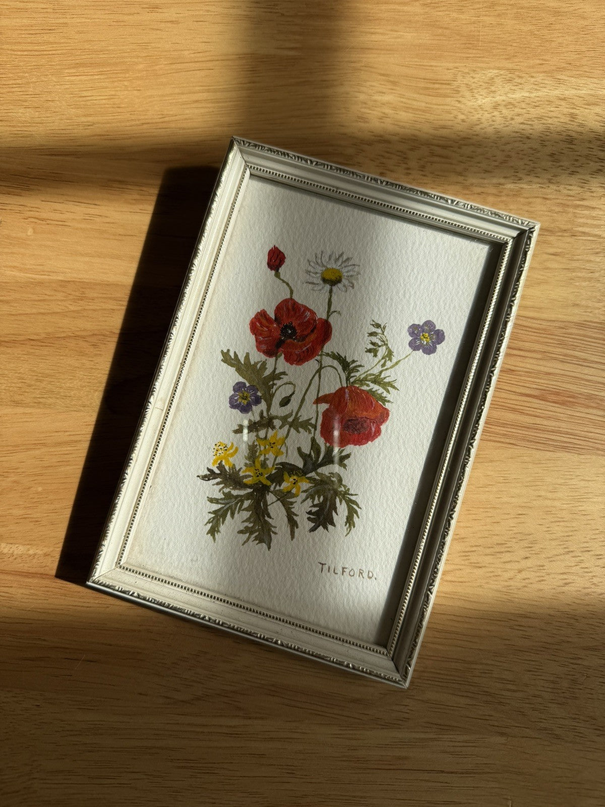 Vintage Framed Botanical 'Poppies' Picture Painting Tilford
